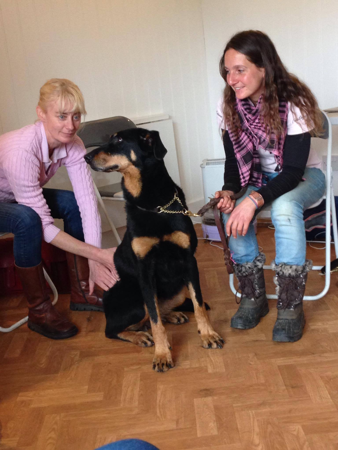 canine practical handling 7 Rose Therapy